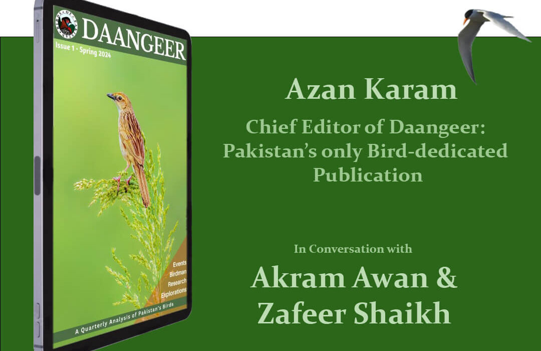 Pakistan’s only birdwatching newsletter