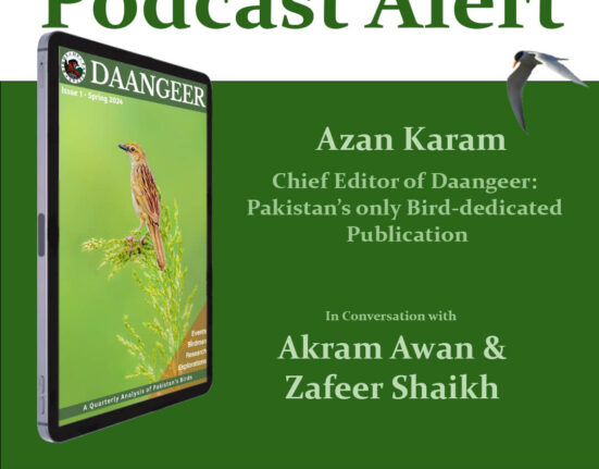 Pakistan’s only birdwatching newsletter