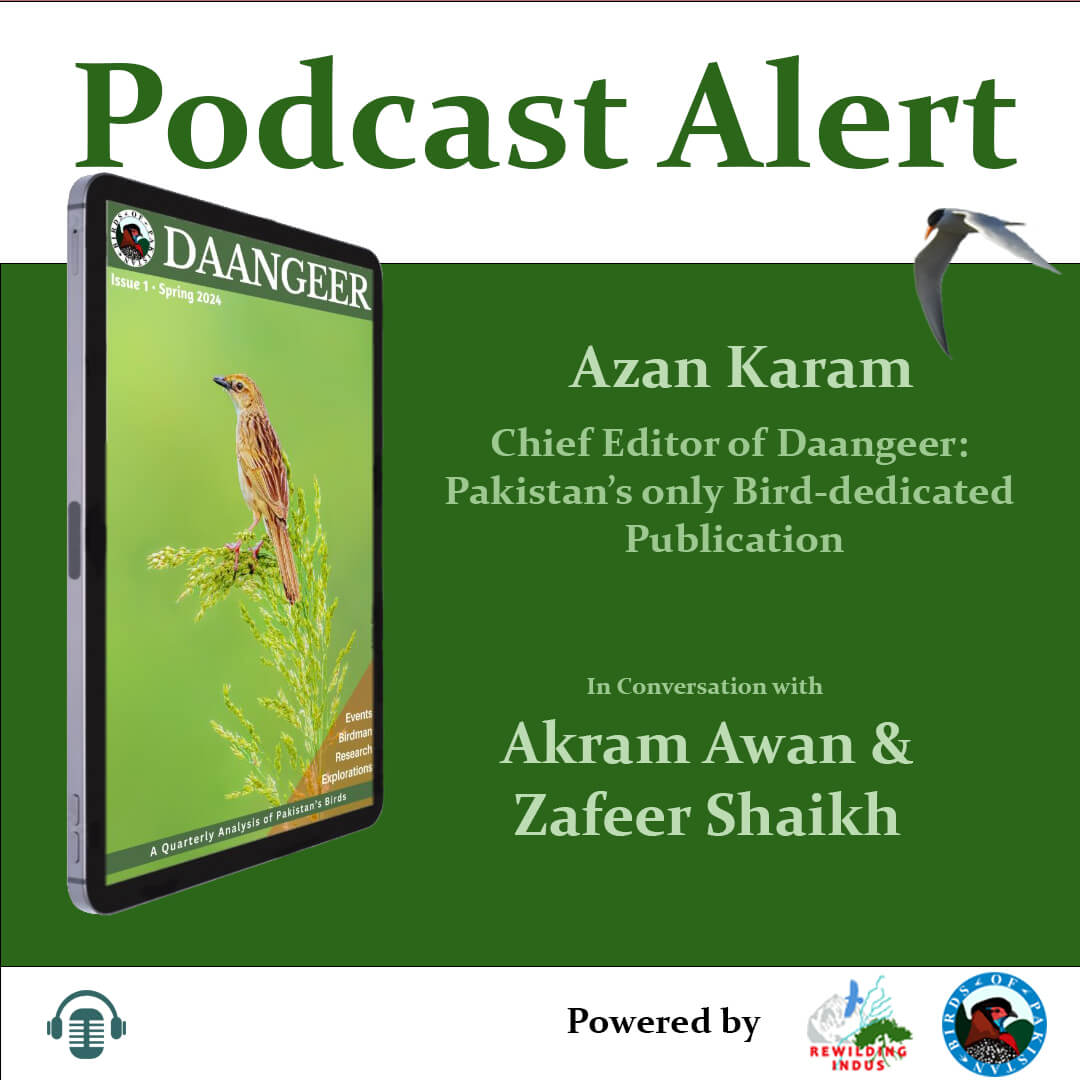 Pakistan’s only birdwatching newsletter